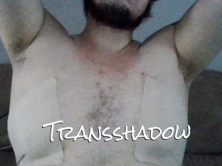 Transshadow