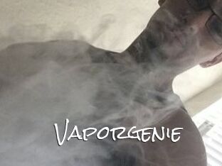 Vapor_genie