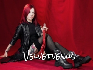 Velvetvenus