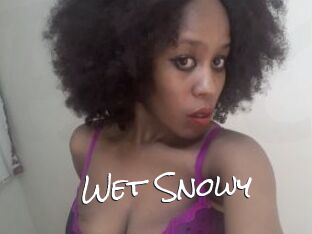 Wet_Snowy