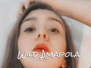 Wild_Amapola