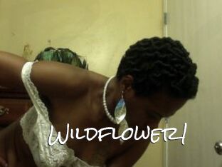 Wildflower1