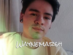 Waynemarsh