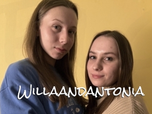 Willaandantonia