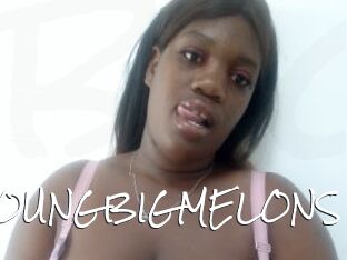YOUNGBIGMELONS