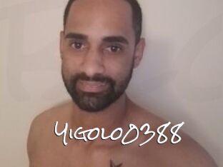 Yigolo0388