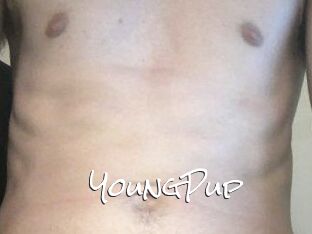 YoungPup